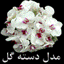 جدیدترین مدل دسته گل عروس 2013