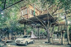 باغ تالار خانه درختی اندیشه